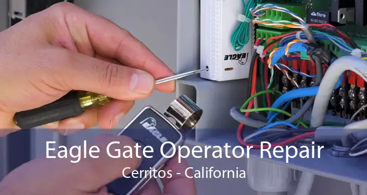 Eagle Gate Operator Repair Cerritos - California