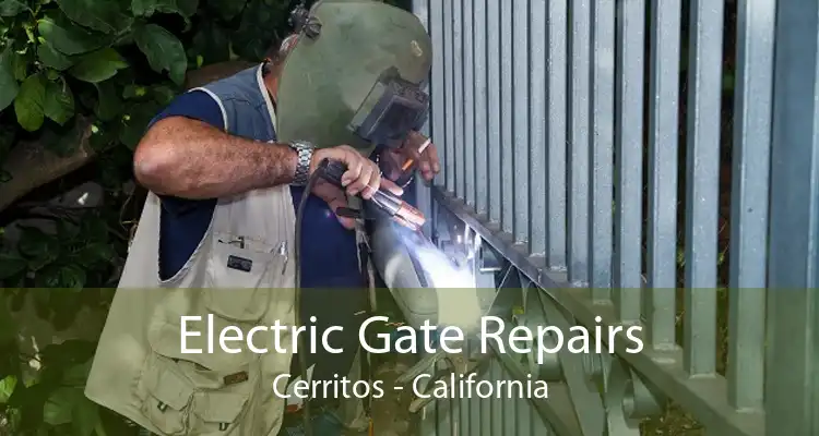 Electric Gate Repairs Cerritos - California