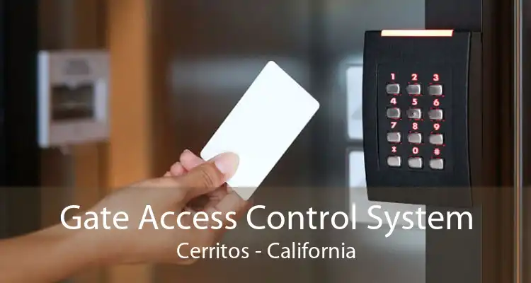 Gate Access Control System Cerritos - California