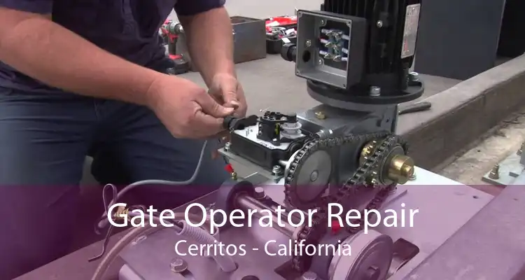 Gate Operator Repair Cerritos - California