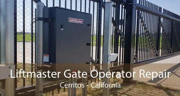 Liftmaster Gate Operator Repair Cerritos - California