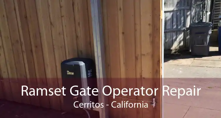 Ramset Gate Operator Repair Cerritos - California
